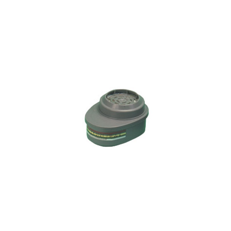 Filtres 201 A2B2E1K1 (lot de 2)