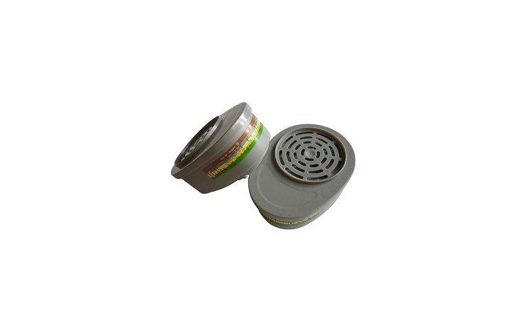 Filtres 201 A2B2E1K1 (lot de 2)